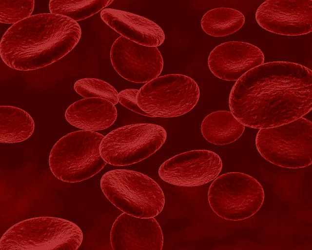 Anticoagulants oraux : les erreurs de délivrance qui se voient trop tard