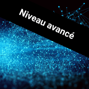 Devenez professionnel du prompt engineering