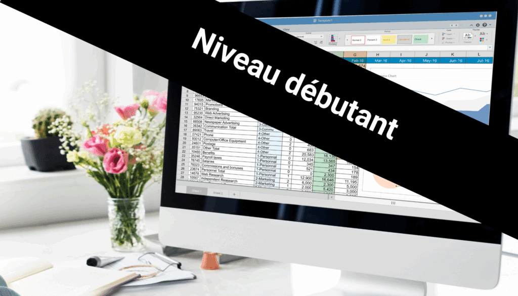Excel pour office 365 _ Niveau débutant