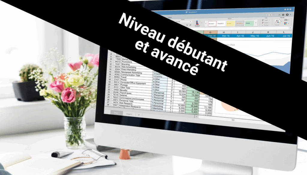 Excel pour office 365 _ Niveau débutant et avancé