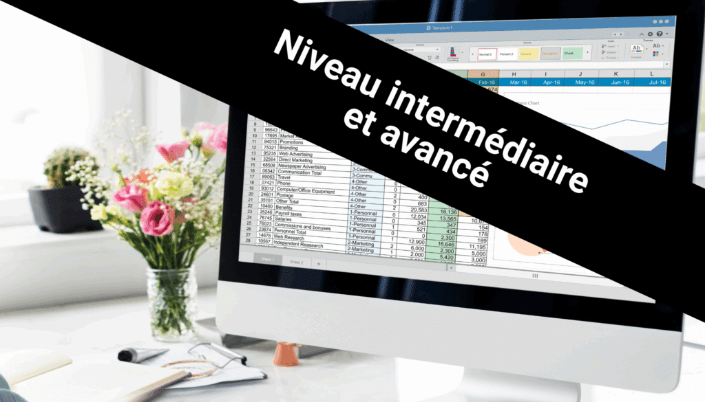 Excel pour office 365 _ Niveau intermédiaire et avancé