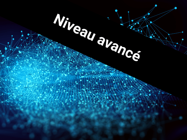 Devenez professionnel du prompt engineering