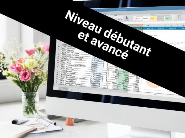 Excel pour office 365 _ Niveau débutant et avancé