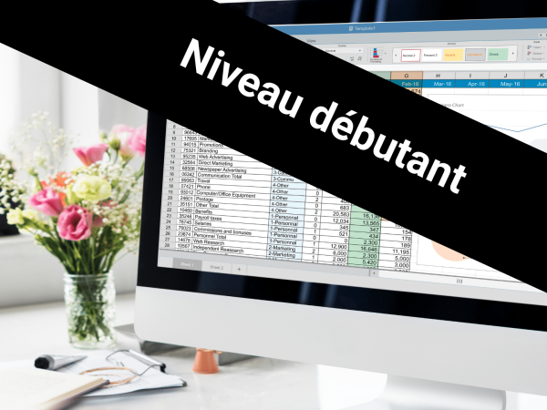 Excel pour office 365 _ Niveau débutant