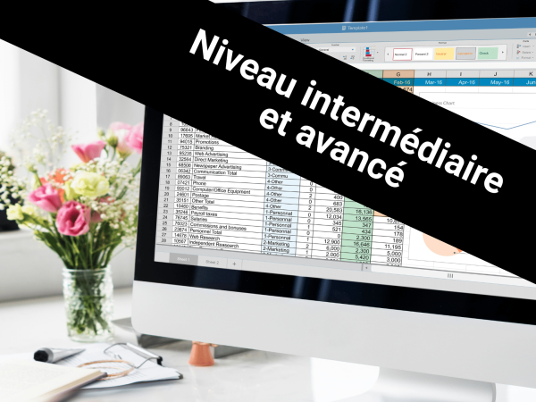 Excel pour office 365 _ Niveau intermédiaire et avancé