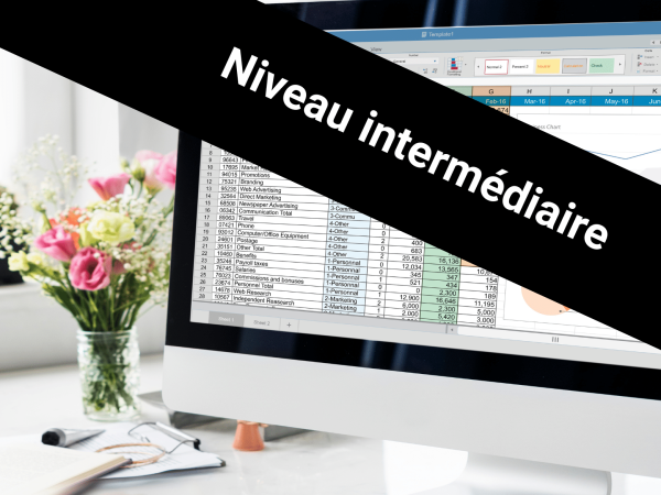 Excel pour office 365 _ Niveau intermédiaire